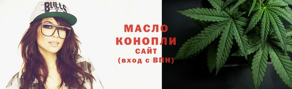соль ск Каменка