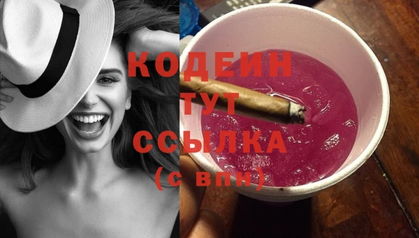 соль ск Каменка