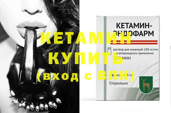 соль ск Каменка
