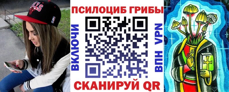 Псилоцибиновые грибы Psilocybe  Купить где  Заринск 